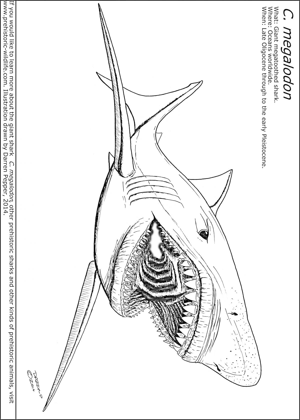 Раскраска Мегалодон морское чудовище с открытой пастью