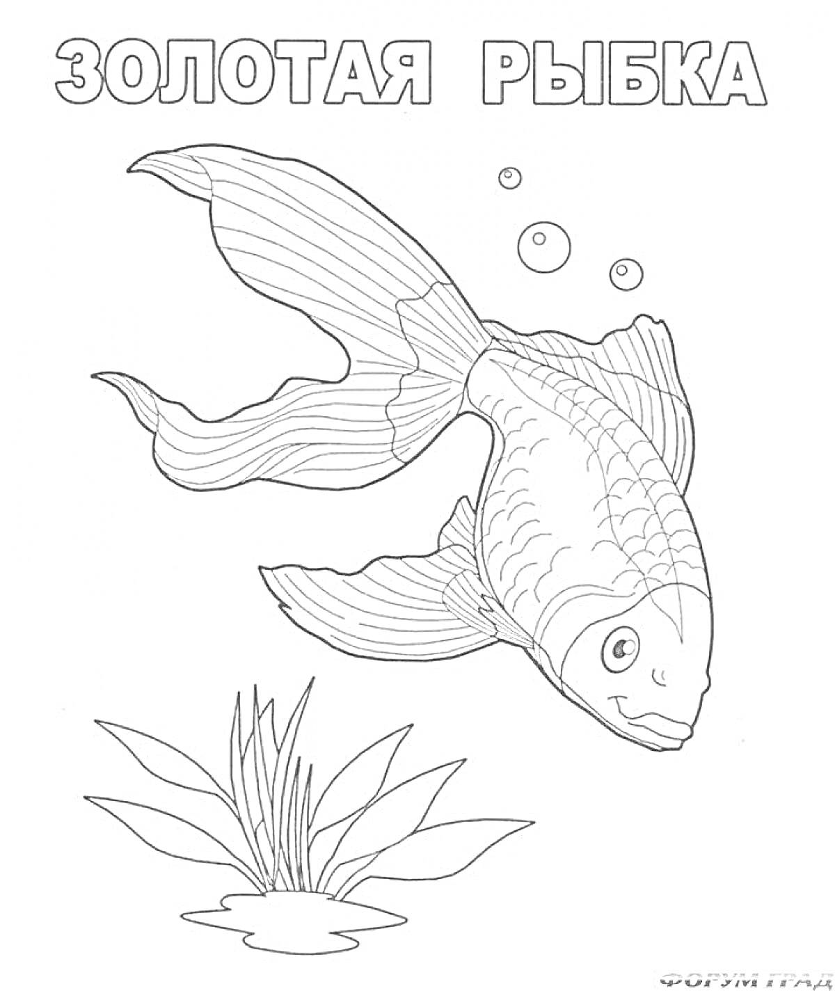 На раскраске изображено: Золотая рыбка, Водоросли, Пузыри, Аквариум