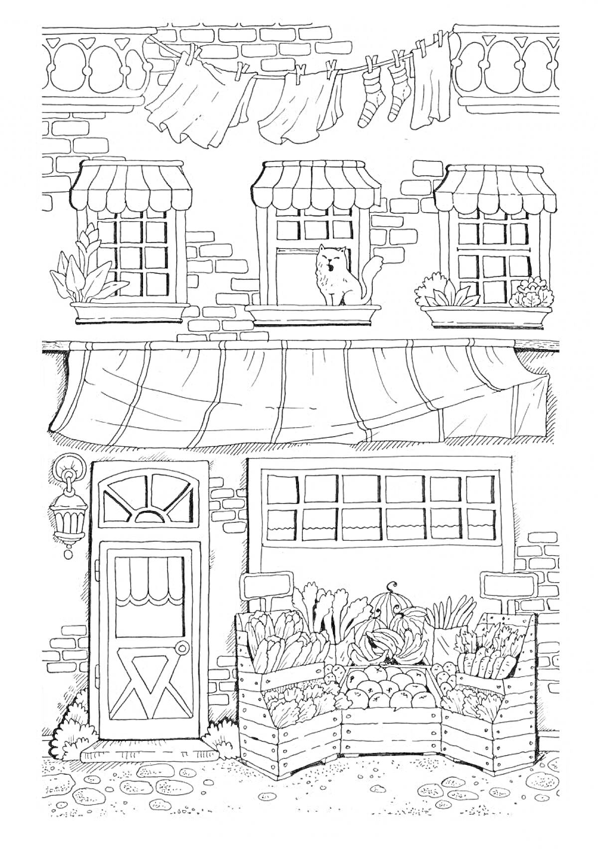 На раскраске изображено: Фасад, Здание, Окна, Балкон, Подоконник, Бельё, Веревка, Входная дверь, Лампа, Овощи, Ящики