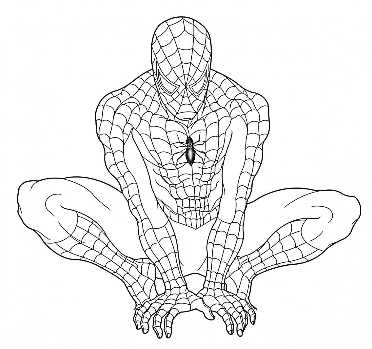 Раскраска Человек-паук в паучьей позе