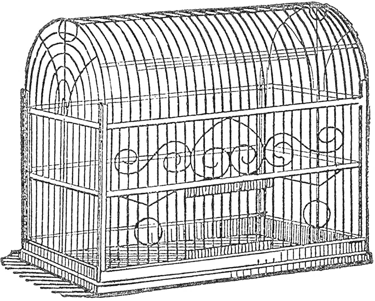 Птичья клетка с арочной крышей и декоративными элементами