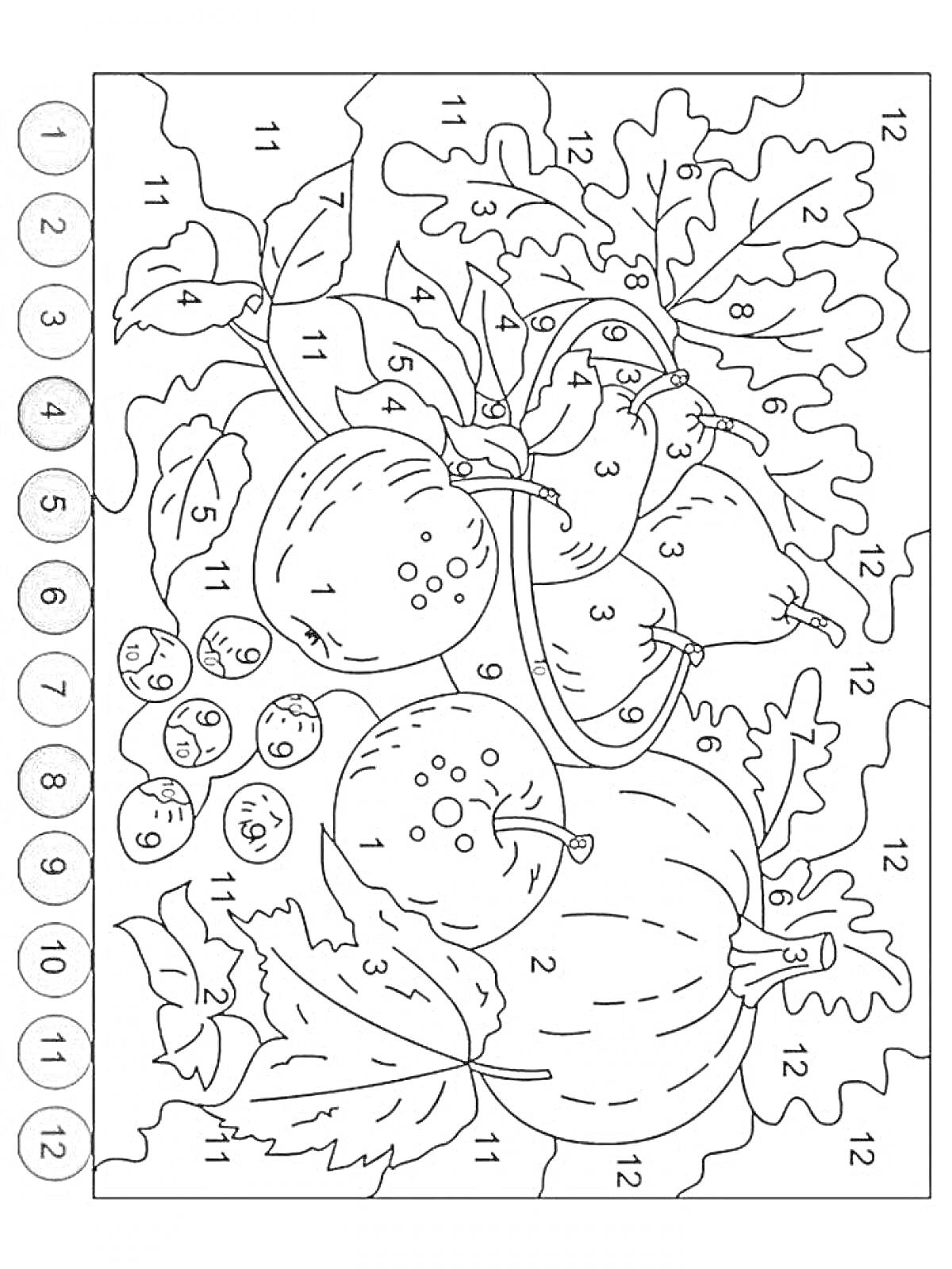 На раскраске изображено: Ягоды, Листья, Капуста, Для детей, Осень, Овощи, Природа, Тыква, По номерам