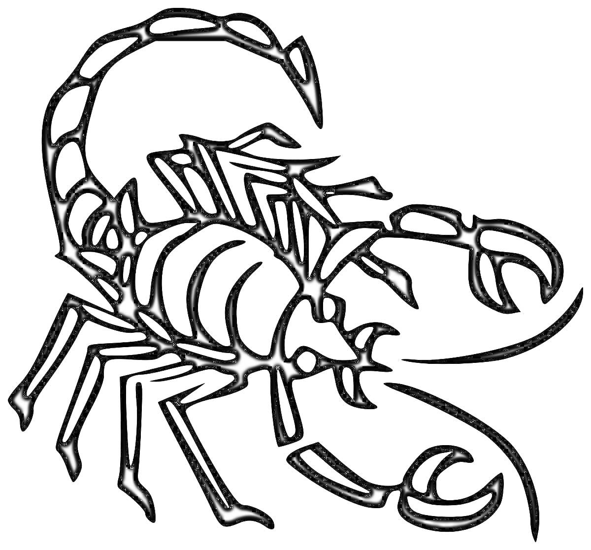 Раскраска Контур скорпиона с вытянутым хвостом и поднятыми клешнями