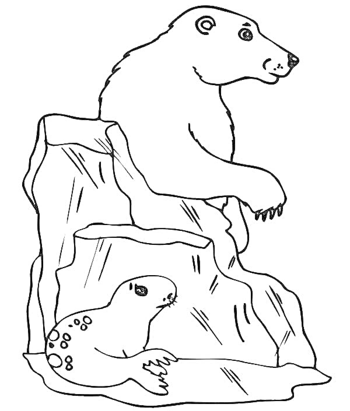 На раскраске изображено: Животные, Север, Белый медведь, Тюлень, Камни, Природа, Арктика