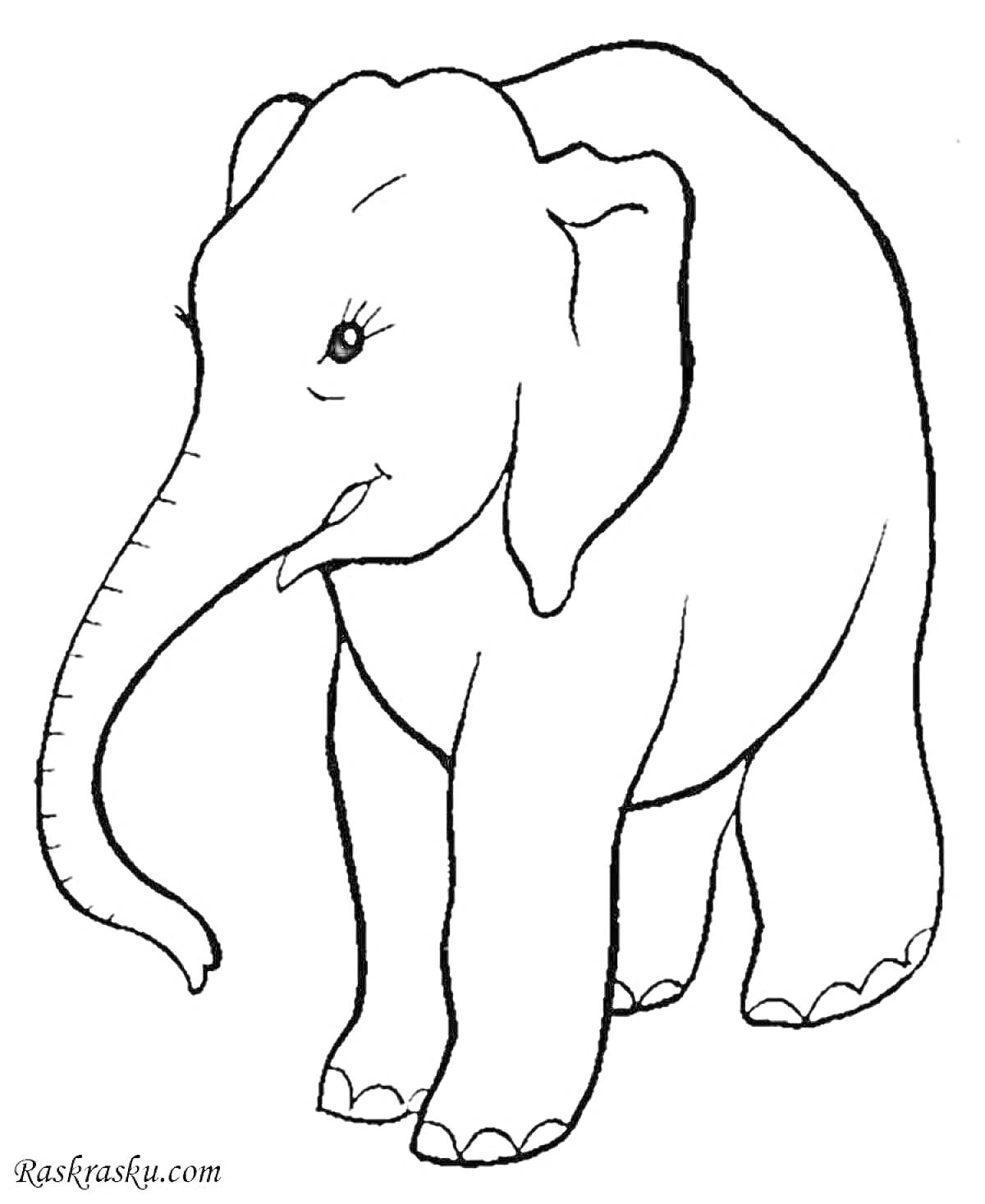 На раскраске изображено: Слон, Животные, Улыбка, Хобот, Уши, Когти, Для детей, Милые