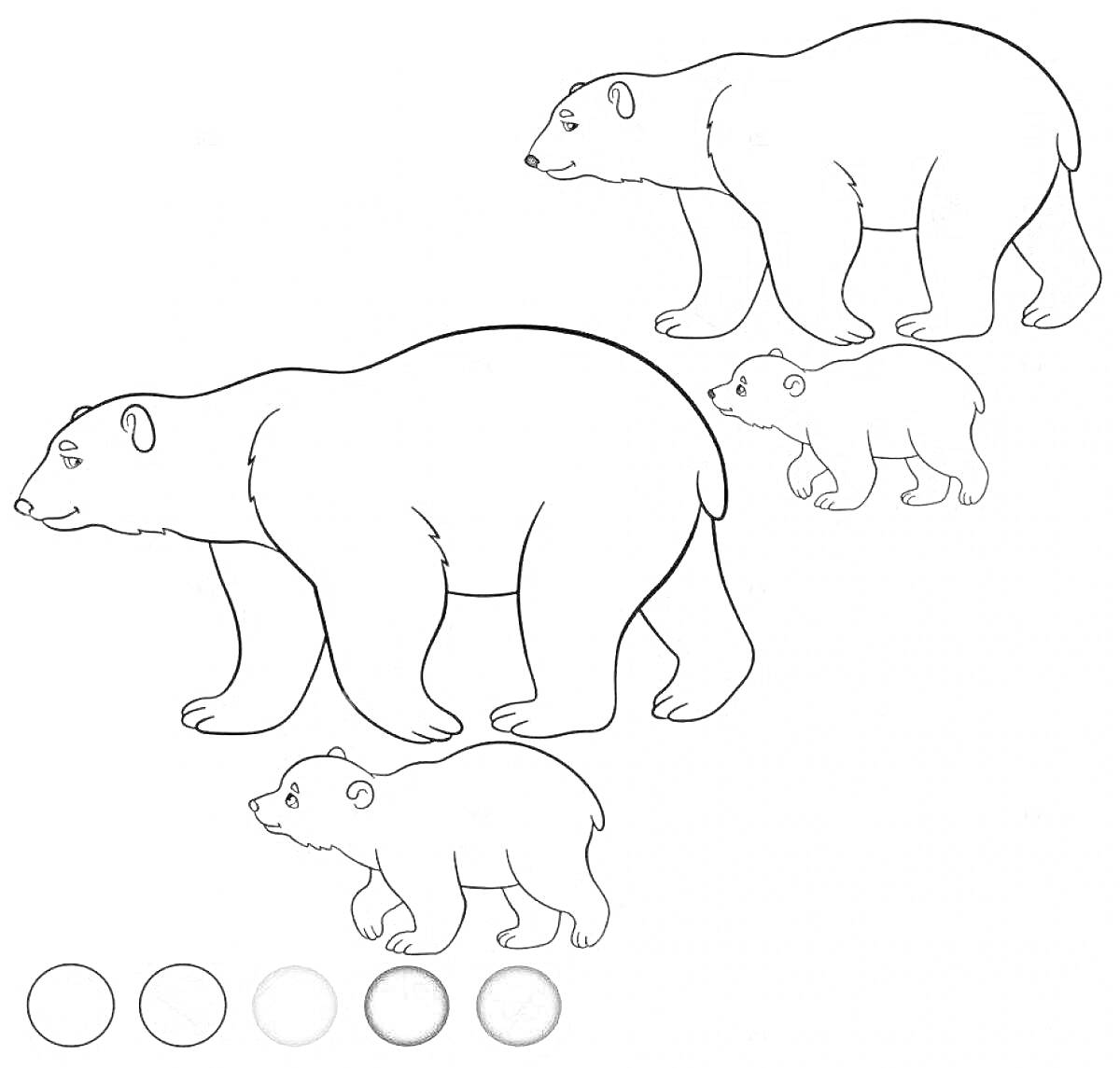 Раскраска медведица и два медвежонка, два медведя среднего размера, один маленький медвежонок, образец цветов для раскраски