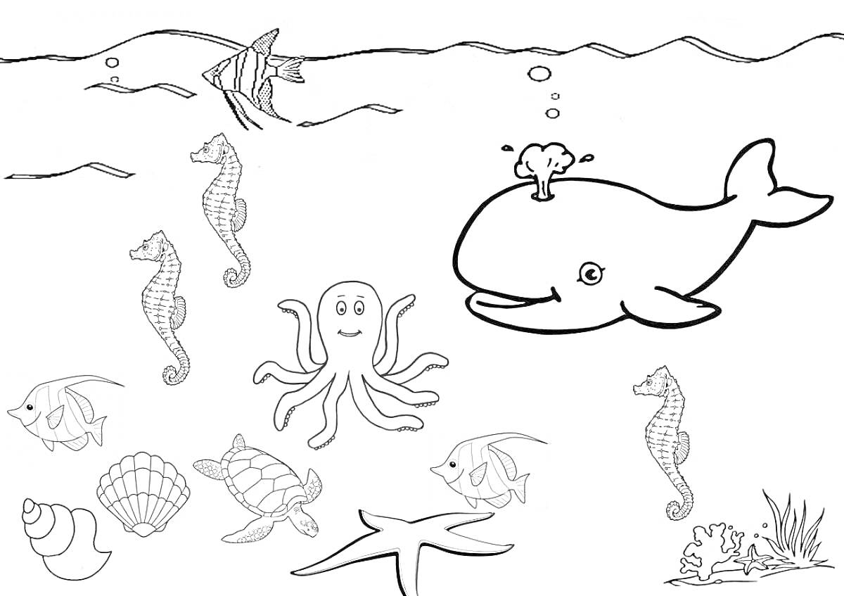 На раскраске изображено: Подводный мир, Морские животные, Кит, Морские коньки, Медуза, Осьминог, Кораллы, Черепаха, Морская звезда, Рыба, Раковина
