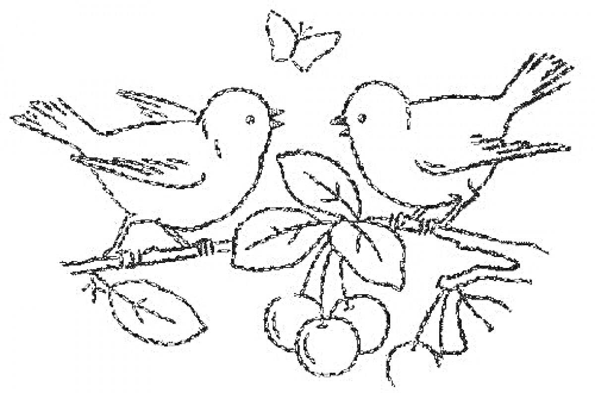 На раскраске изображено: Ветка, Листья, Ягоды, Бабочка, Природа, Синица