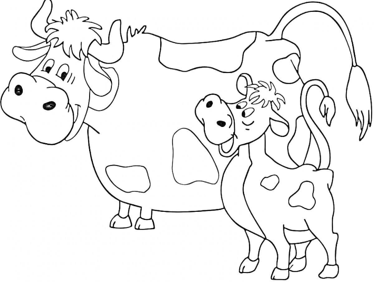Раскраска Две коровы — большая корова и теленок