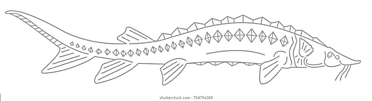 На раскраске изображено: Рыба, Шипы, Плавники, Длинный хвост, Подводный мир