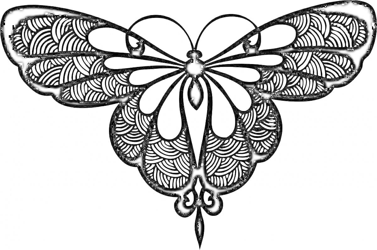 Раскраска Бабочка с узорчатыми крыльями в виде раскраски