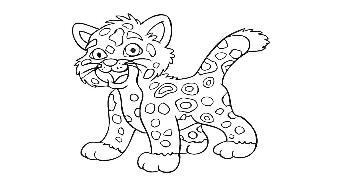 Раскраска Радостный леопард с пятнами и пушистым хвостом