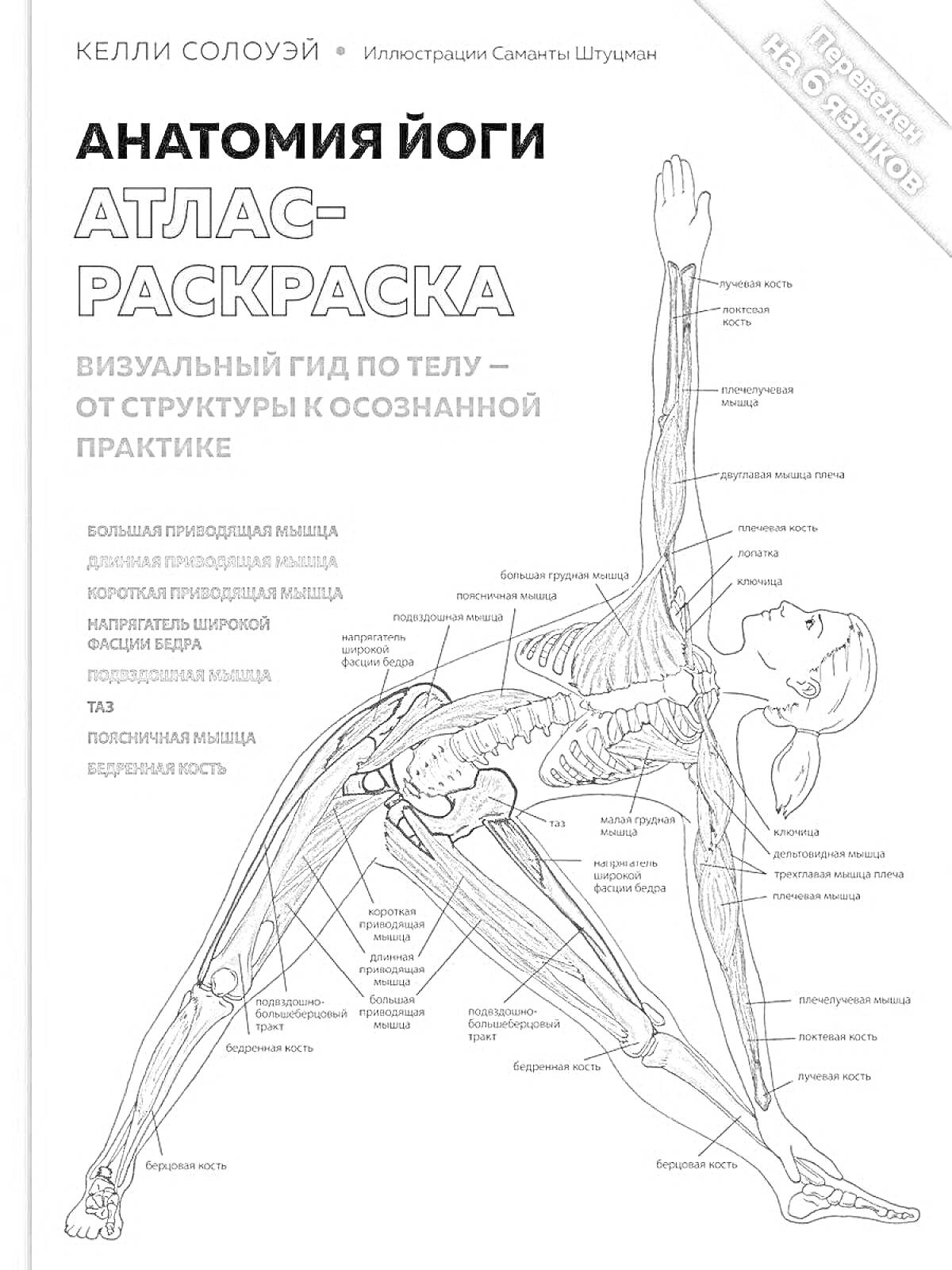 На раскраске изображено: Анатомия, Йога, Мышцы, Кости, Человеческое тело, Практика, Структура, Атлас