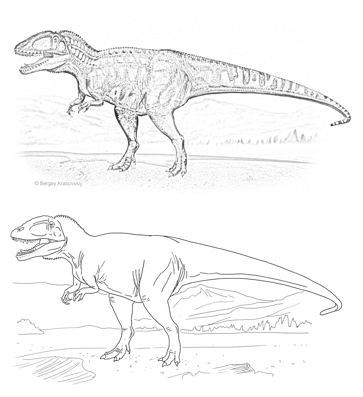 Раскраска кархародонтозавр в двух вариантах - цветном и раскраске, на фоне горного пейзажа