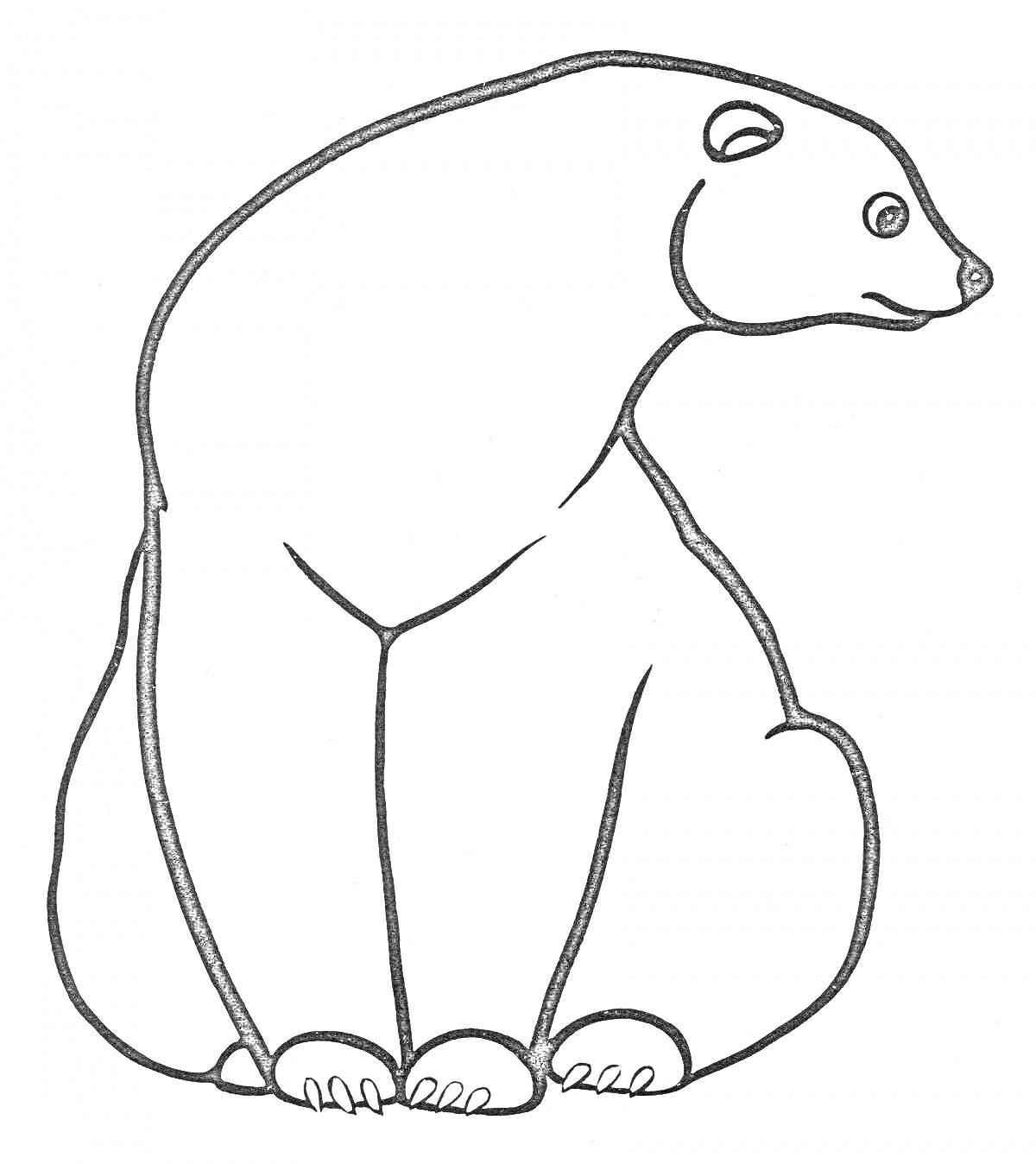 На раскраске изображено: Умка, Сидящий медведь, Для детей, Животные, Полярные медведи