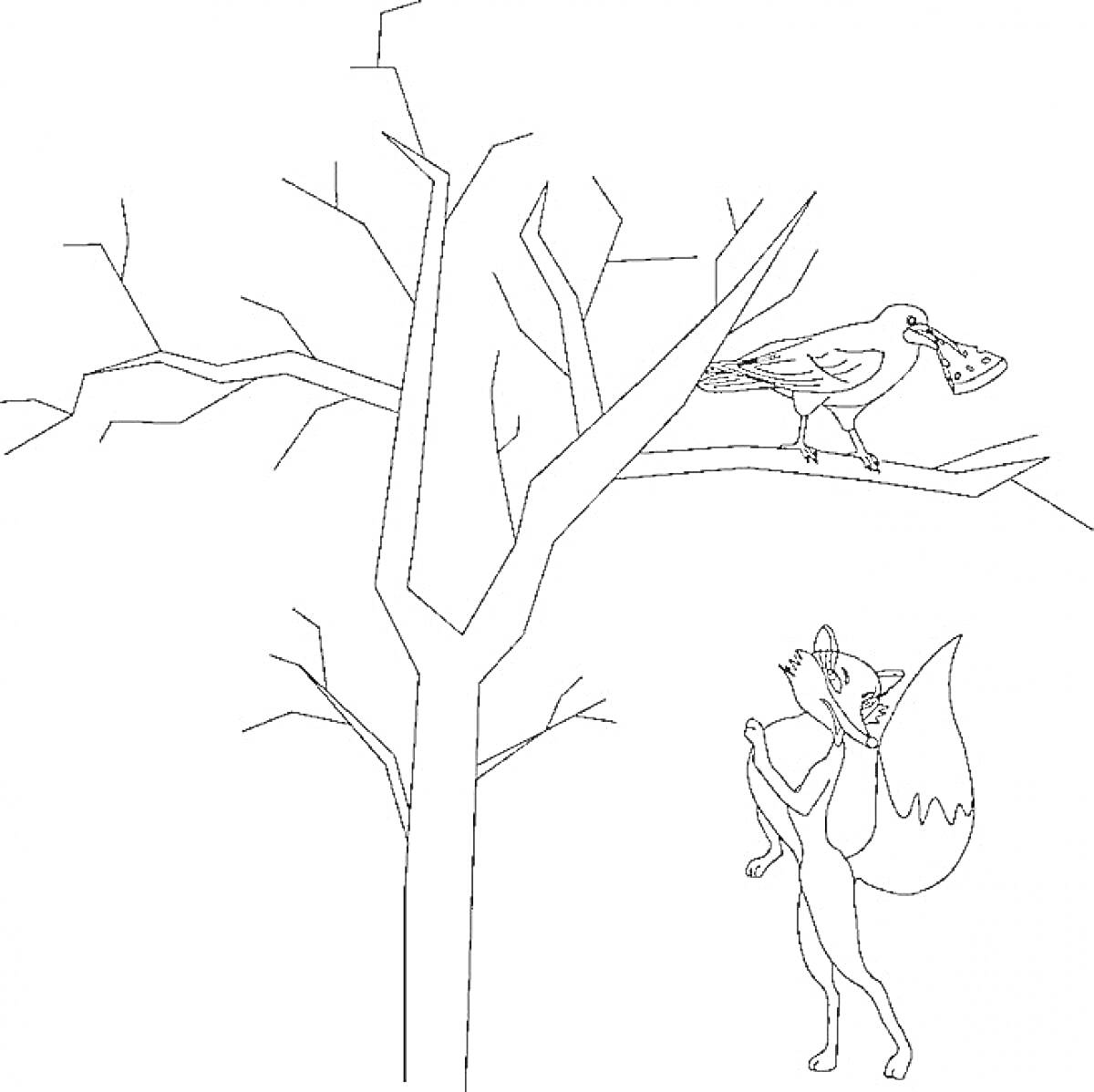 На раскраске изображено: Басня, Ворона, Лисица, Сыр, Ветви, Ветка, Деревья