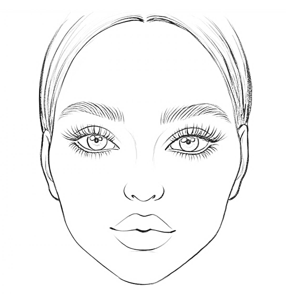 Раскраска Иллюстрация лица для макияжа с волосами, бровями, глазами, ресницами, носом и губами.