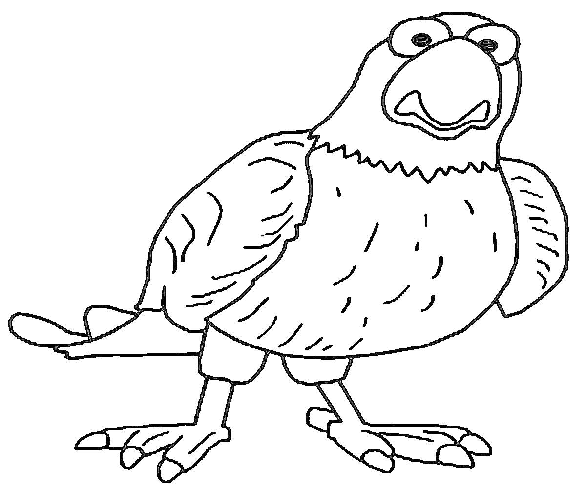 Раскраска Попугай из мультфильма 