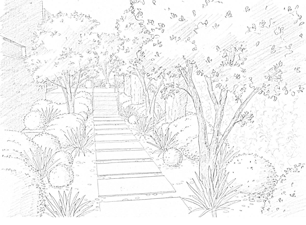 Раскраска Лесная тропинка с плиточной дорожкой, кустами, деревьями и травой