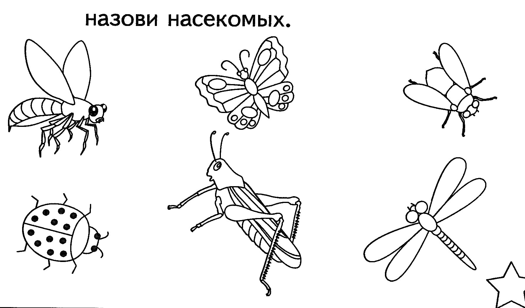 На раскраске изображено: Муха, Бабочка, Кузнечик, Окружающий мир, 1 класс