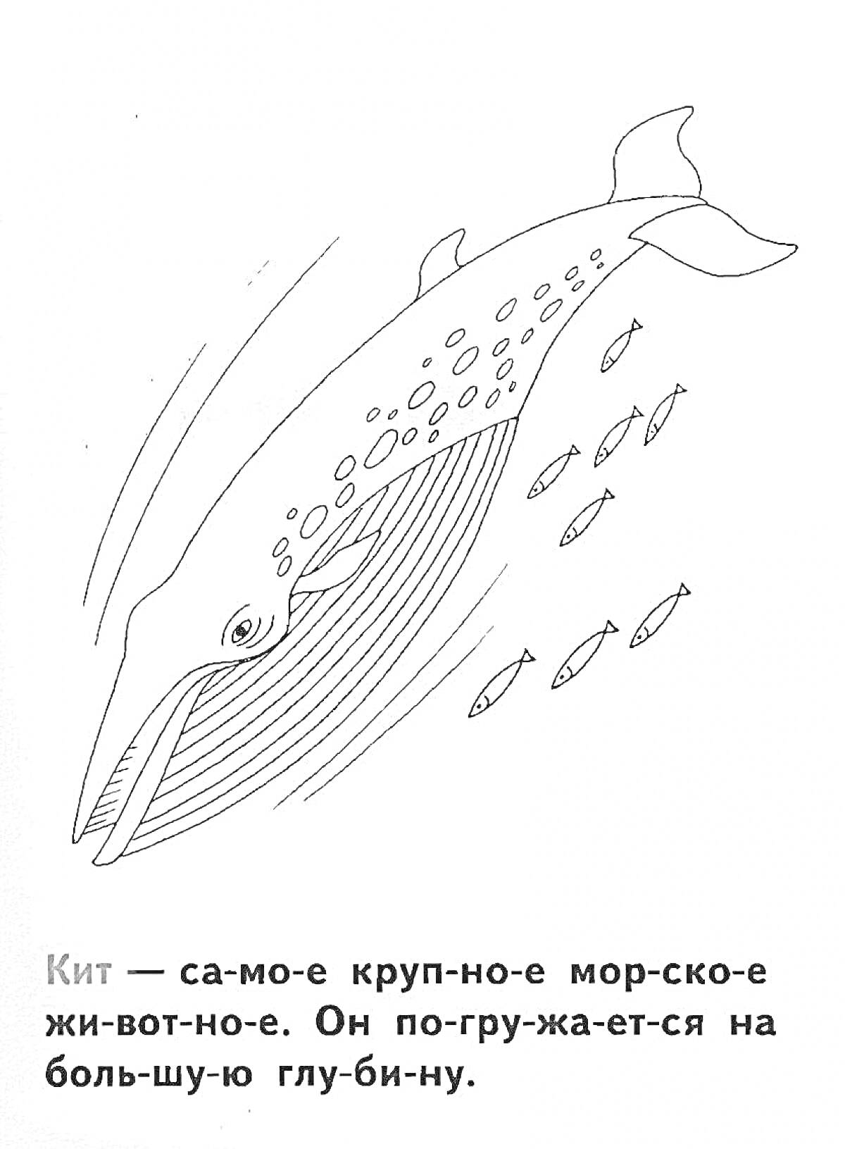 Раскраска Кит с маленькими рыбками и текстом