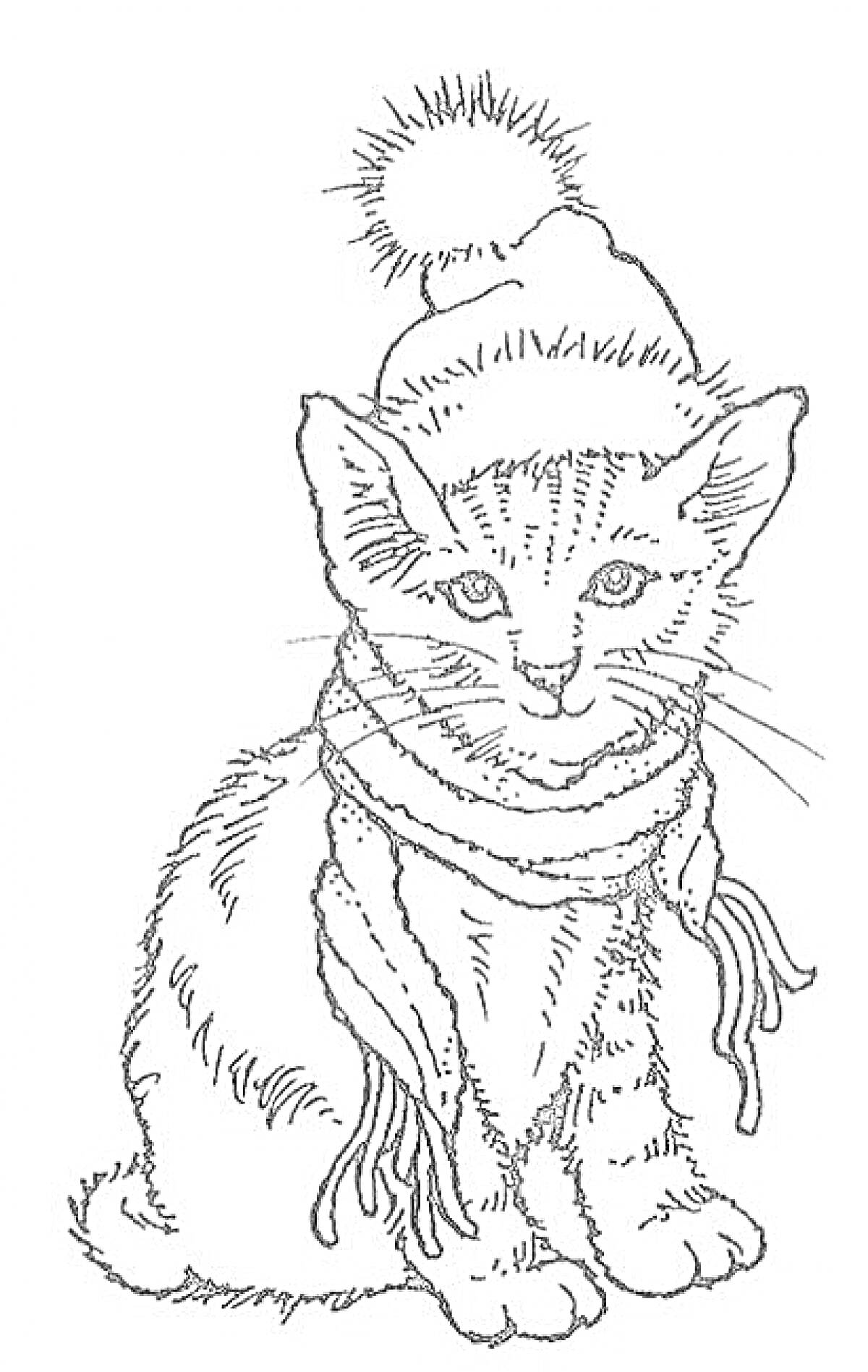 Раскраска Кошка в новогодней шапке с помпоном и шарфом