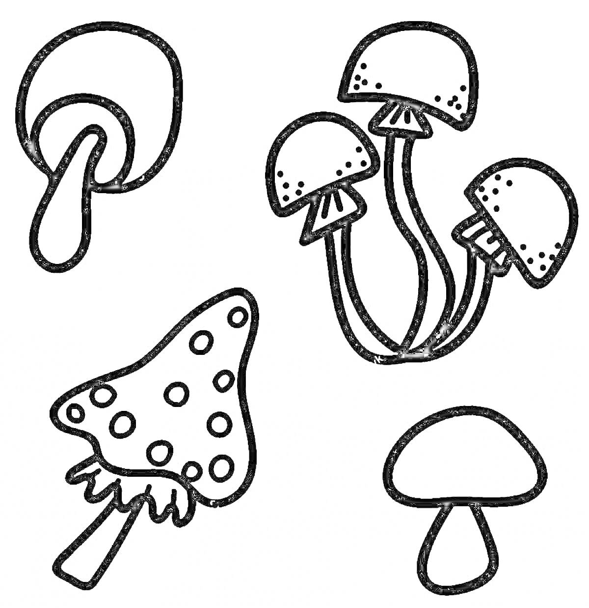 Раскраска Грибы, гриб на ножке, группа грибов на длинных ножках, гриб с пятнами, маленький гриб