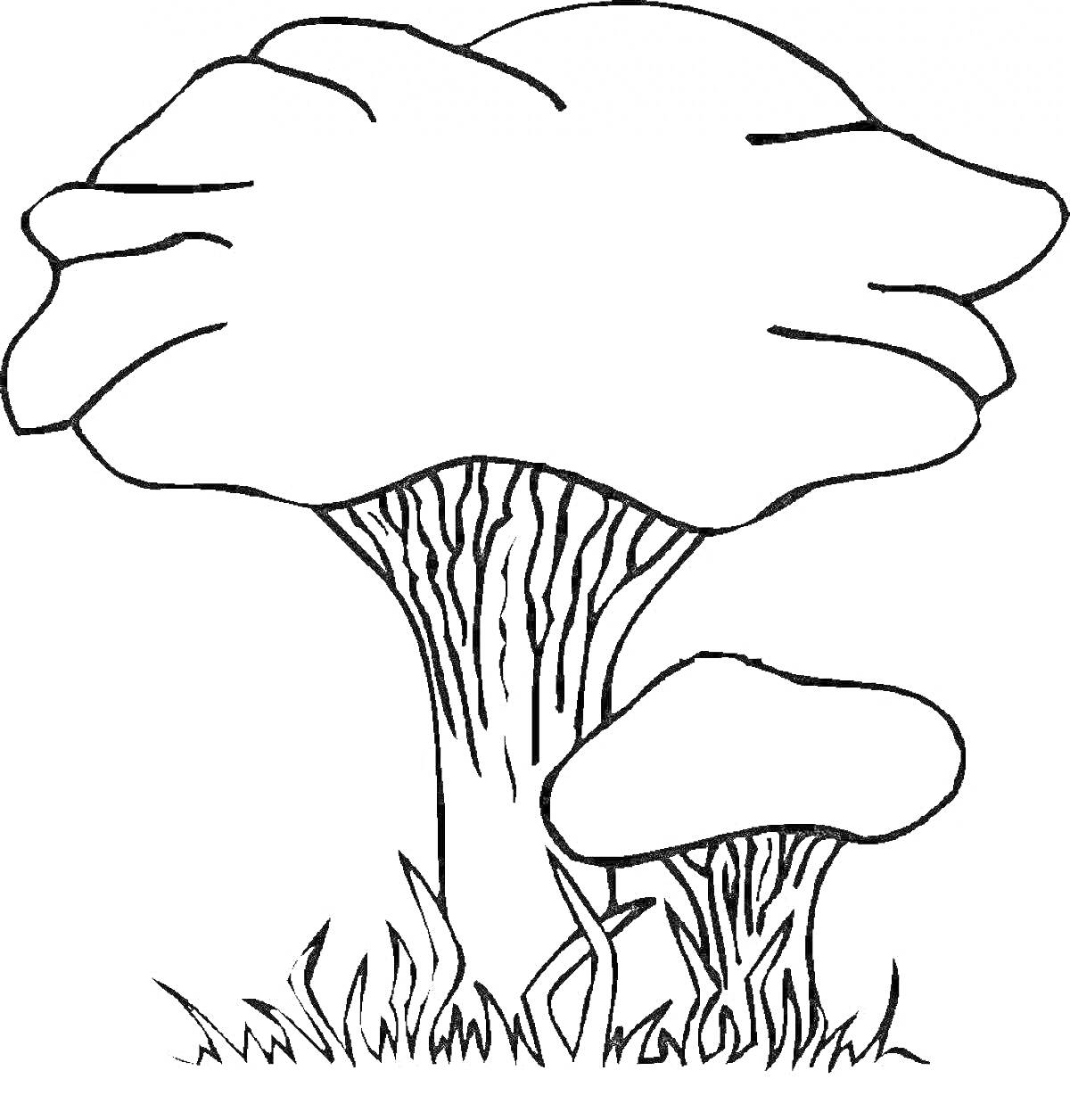 На раскраске изображено: Грибы, Два гриба, Трава, Природа
