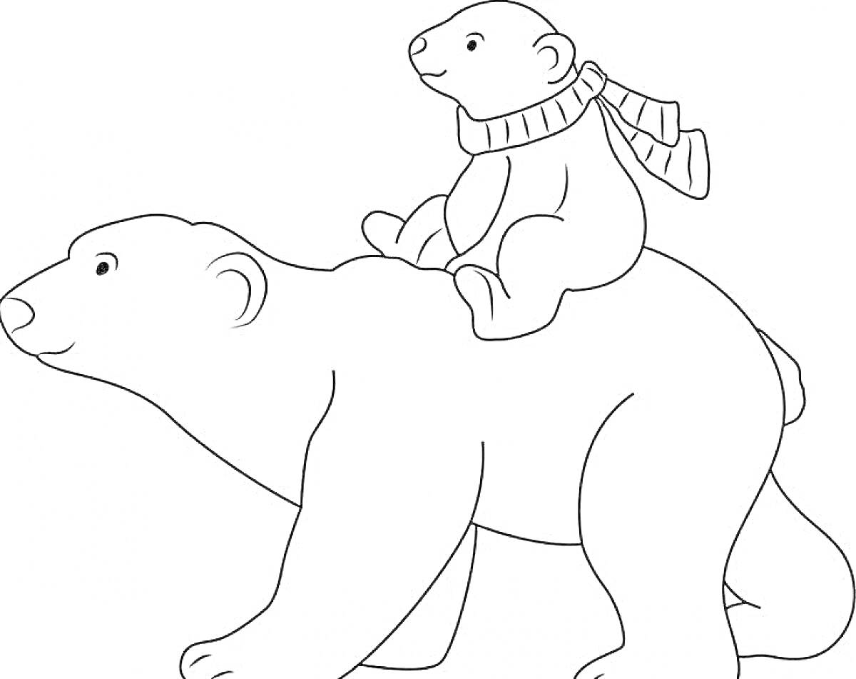 На раскраске изображено: Шарф, Полярные медведи, Белый медведь