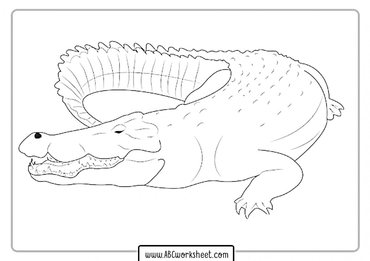 На раскраске изображено: Крокодил, Монти, Лежащий, Открытый рот