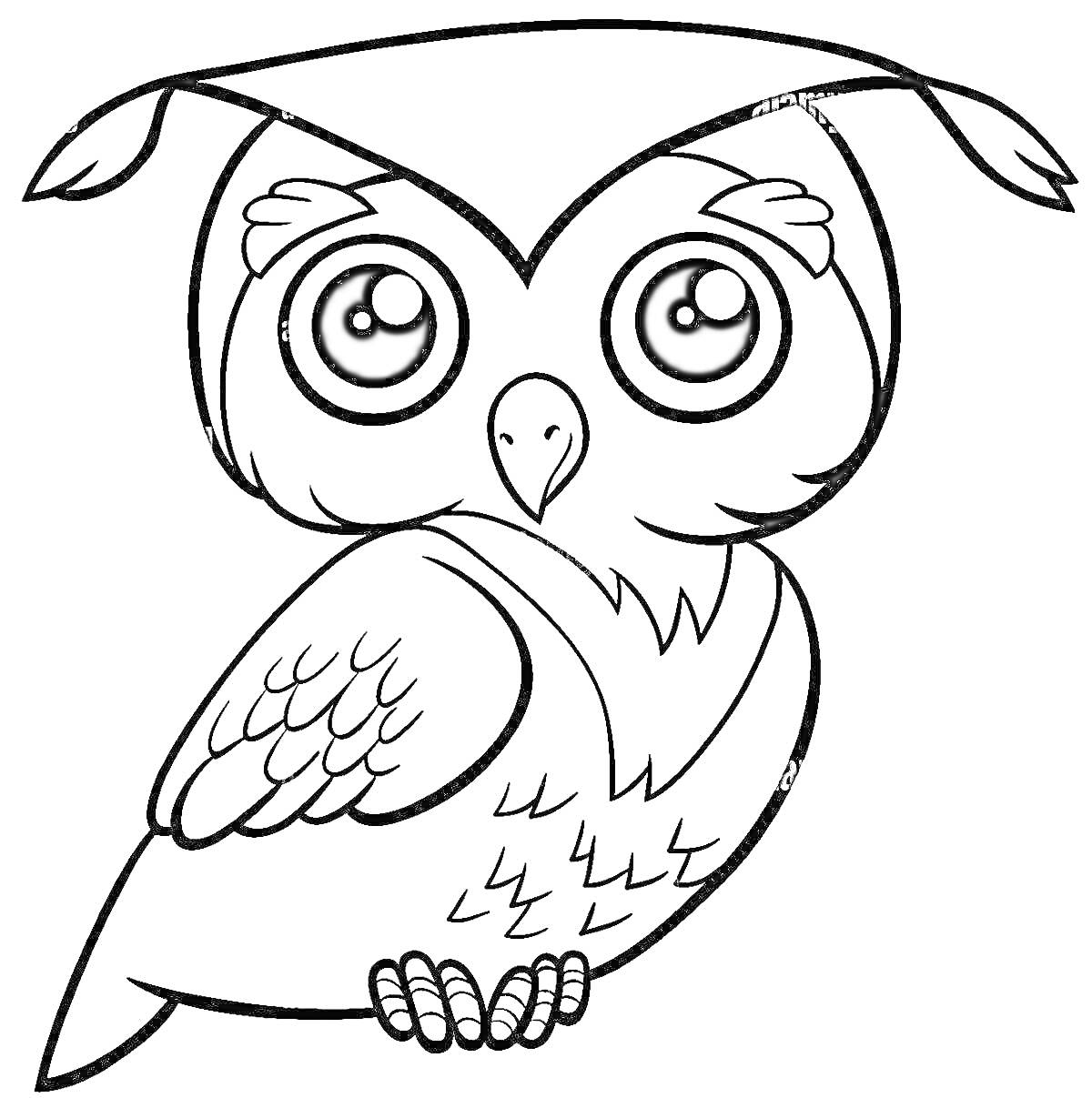 Раскраска Мудрая сова с большими глазами и очками, сидящая на ветке