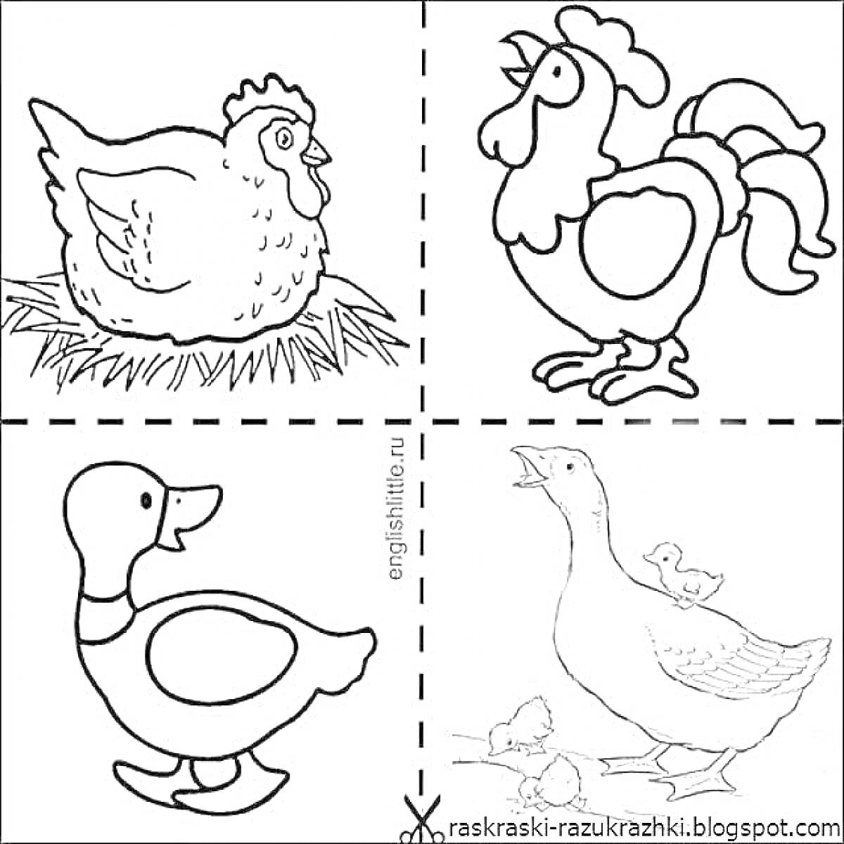 На раскраске изображено: Курица, Петух, Утка, Гусь, Домашние животные, Ферма, Для детей