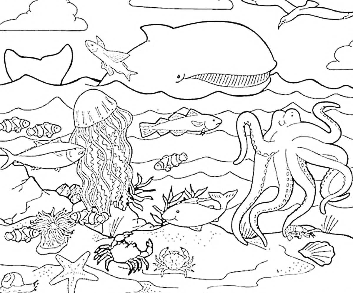 На раскраске изображено: Медуза, Краб, Водоросли, Морская жизнь, Морское дно, Подводный мир, Рыба, Киты, Океаны, Осьминоги, Чайки, Морские звезды, Морские животные