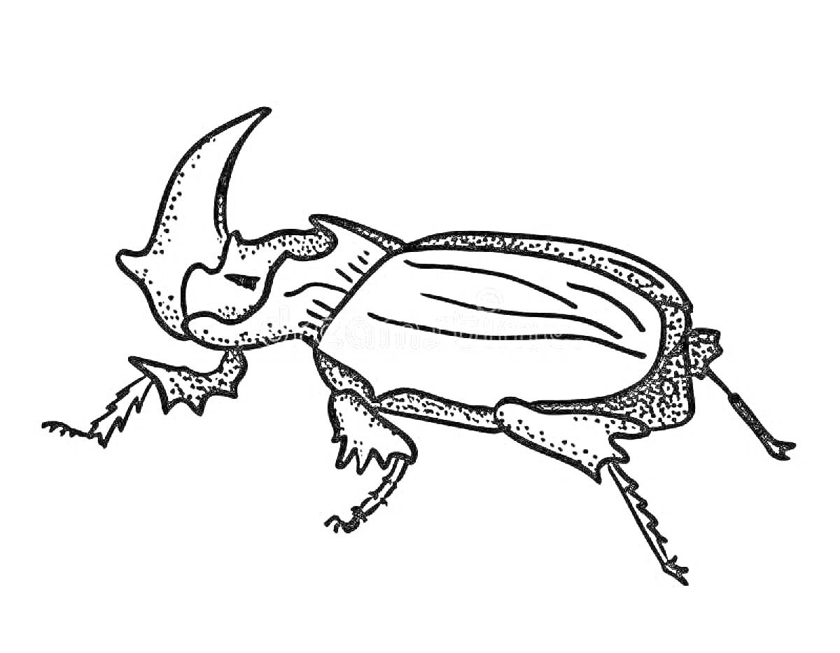Раскраска Жук носорог - контурное изображение, вид сбоку, большие рога, детализированные лапы и туловище