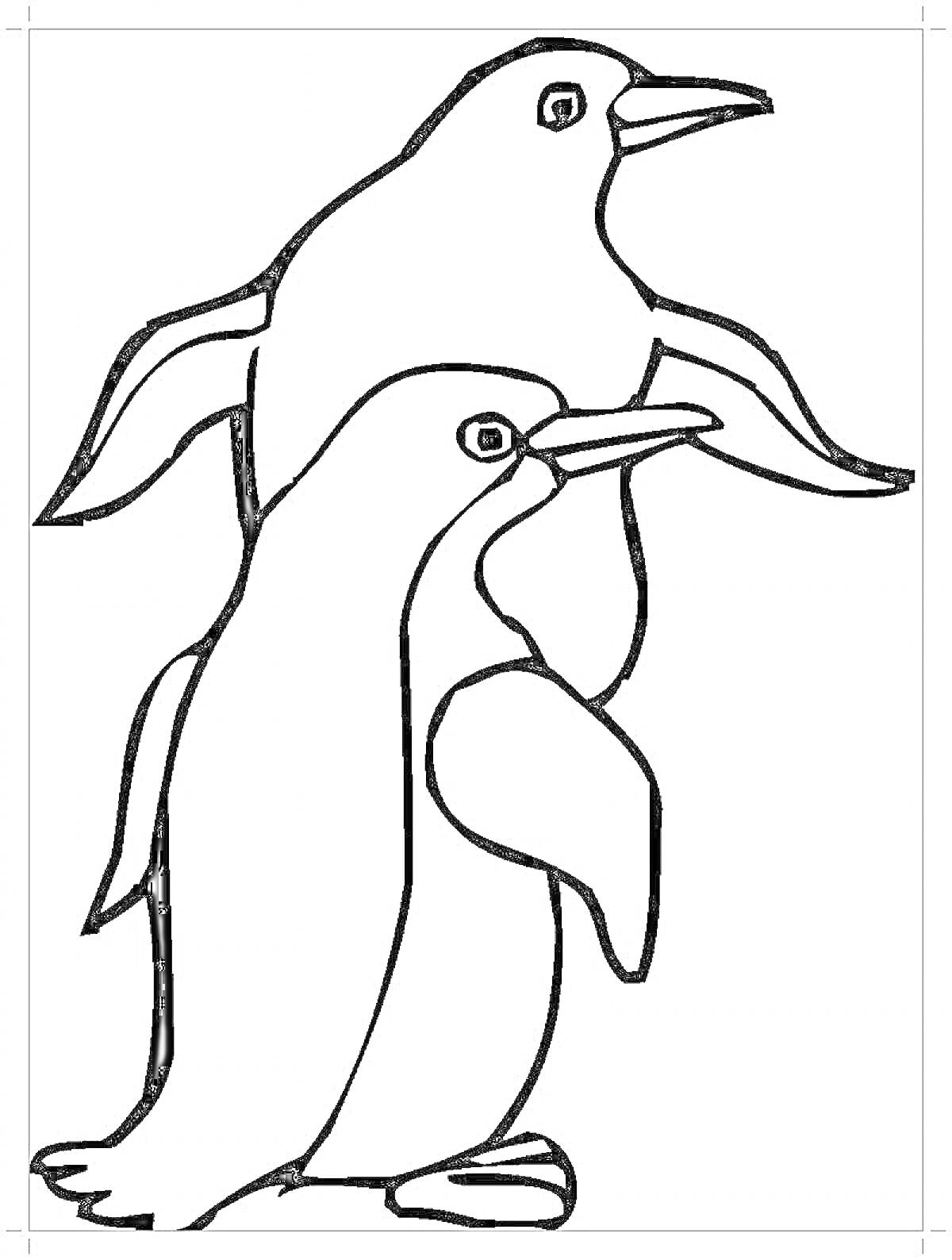 На раскраске изображено: Пингвины, Животные
