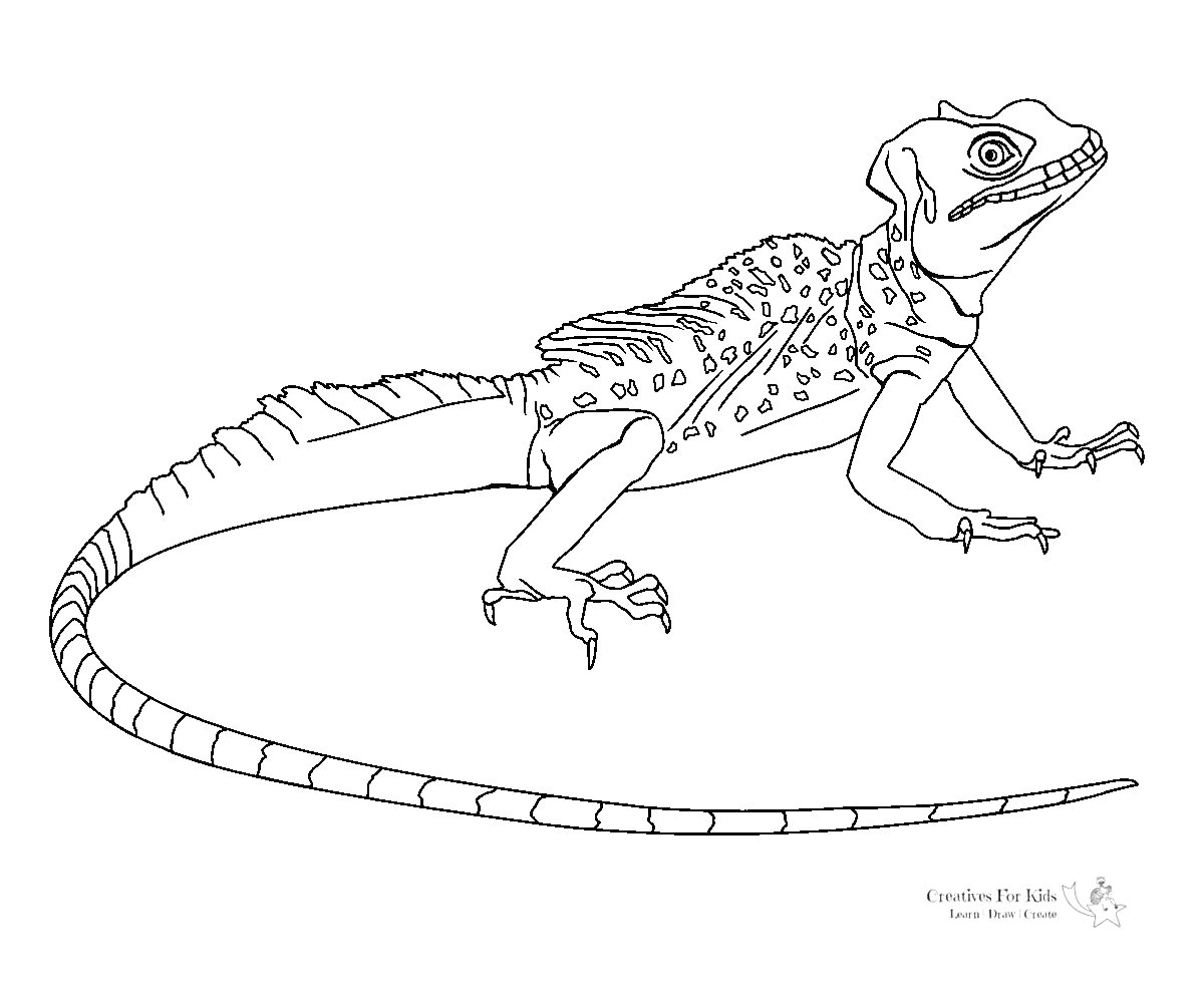 Раскраска Василиск, стоящий на четырех лапах, с длинным хвостом и чешуей
