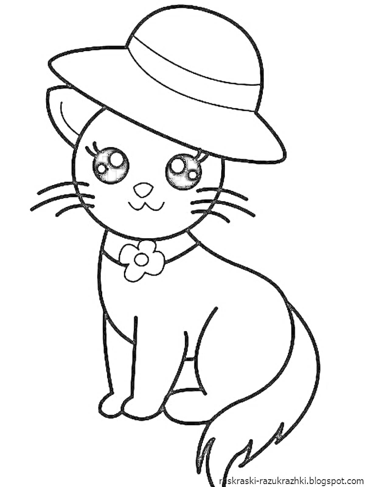 Раскраска Кошка в шляпе с цветком на ошейнике