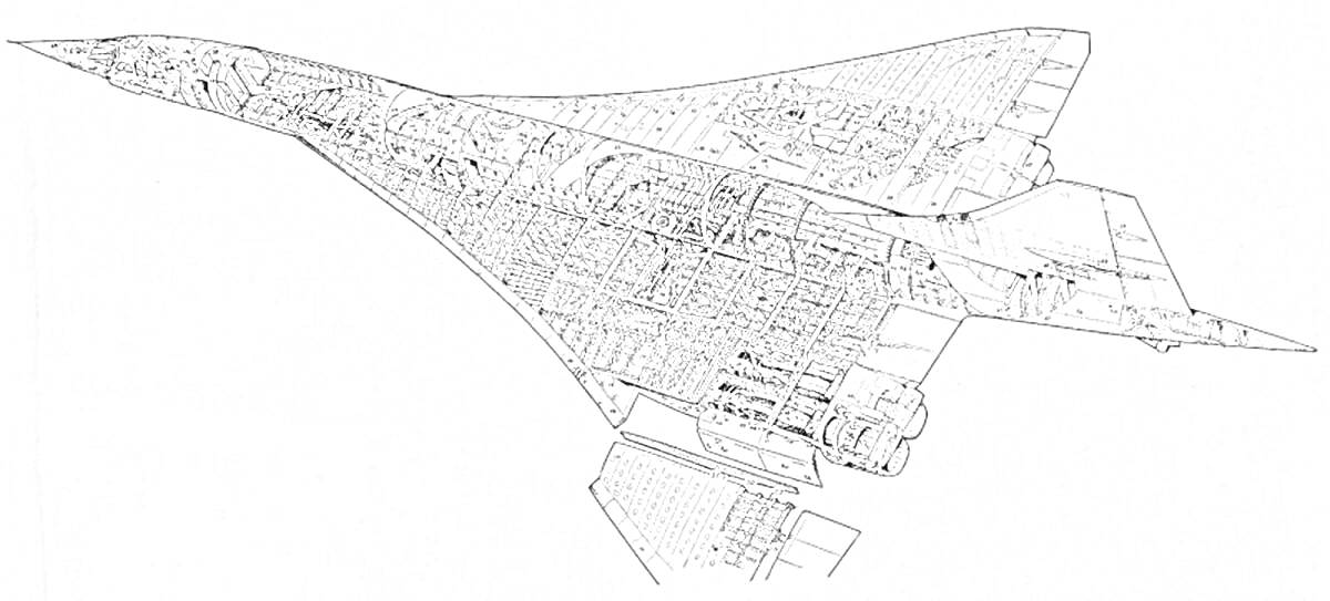 Раскраска Технический чертеж самолета Ту-144, вид сбоку, с детализацией конструктивных элементов