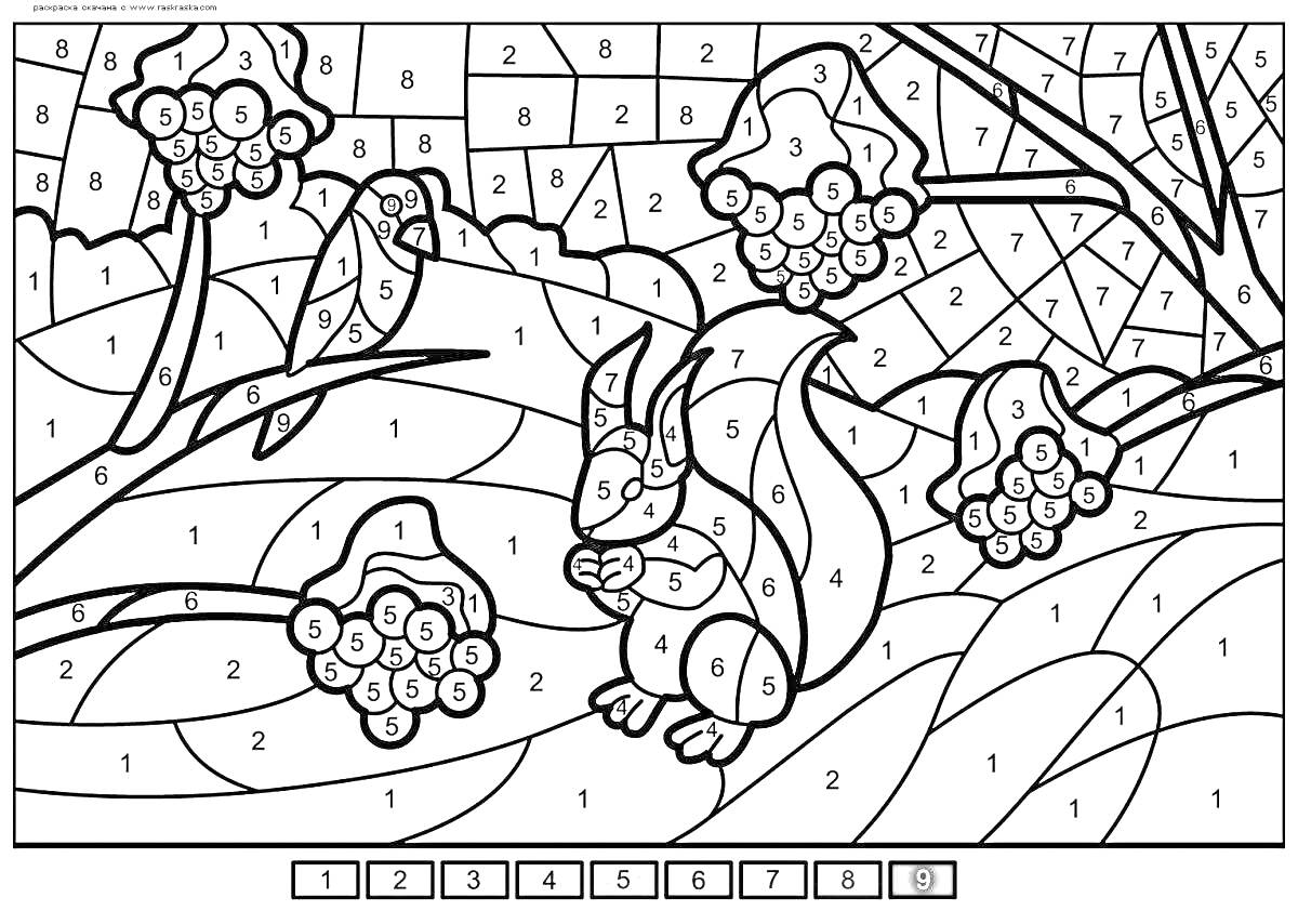 Раскраска Белка и ягоды на ветвях в лесу