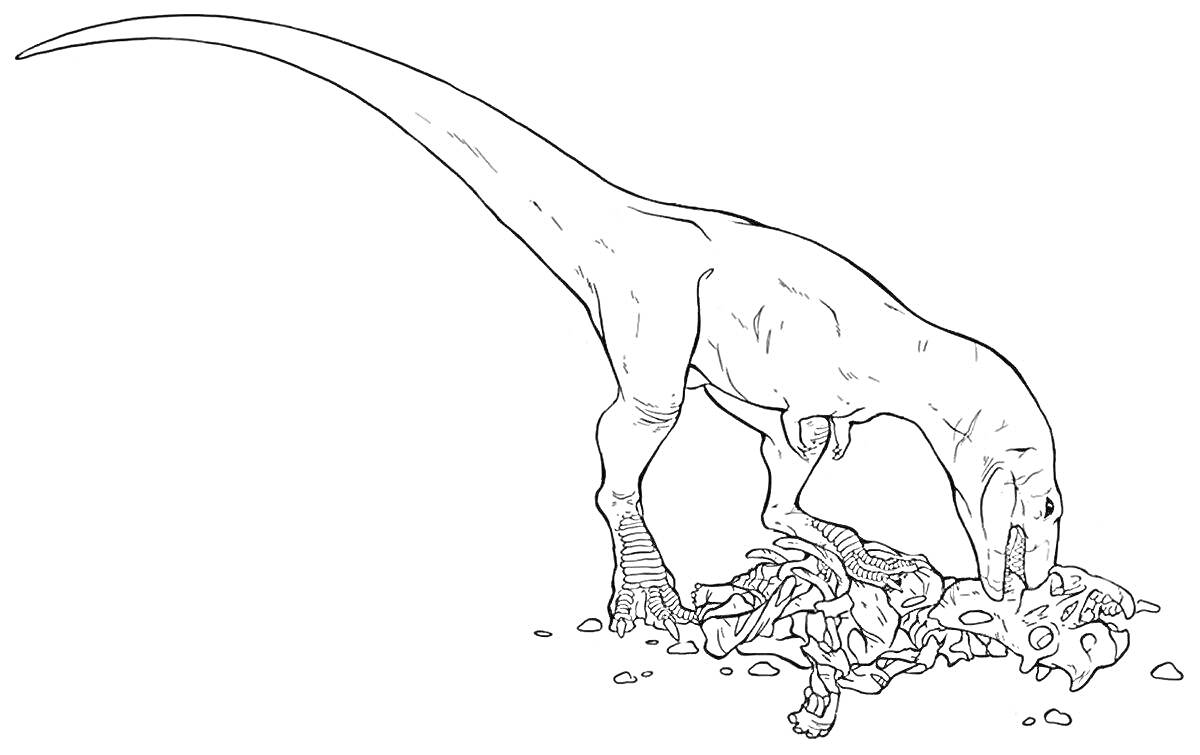 Раскраска Аллозавр, поедающий кости