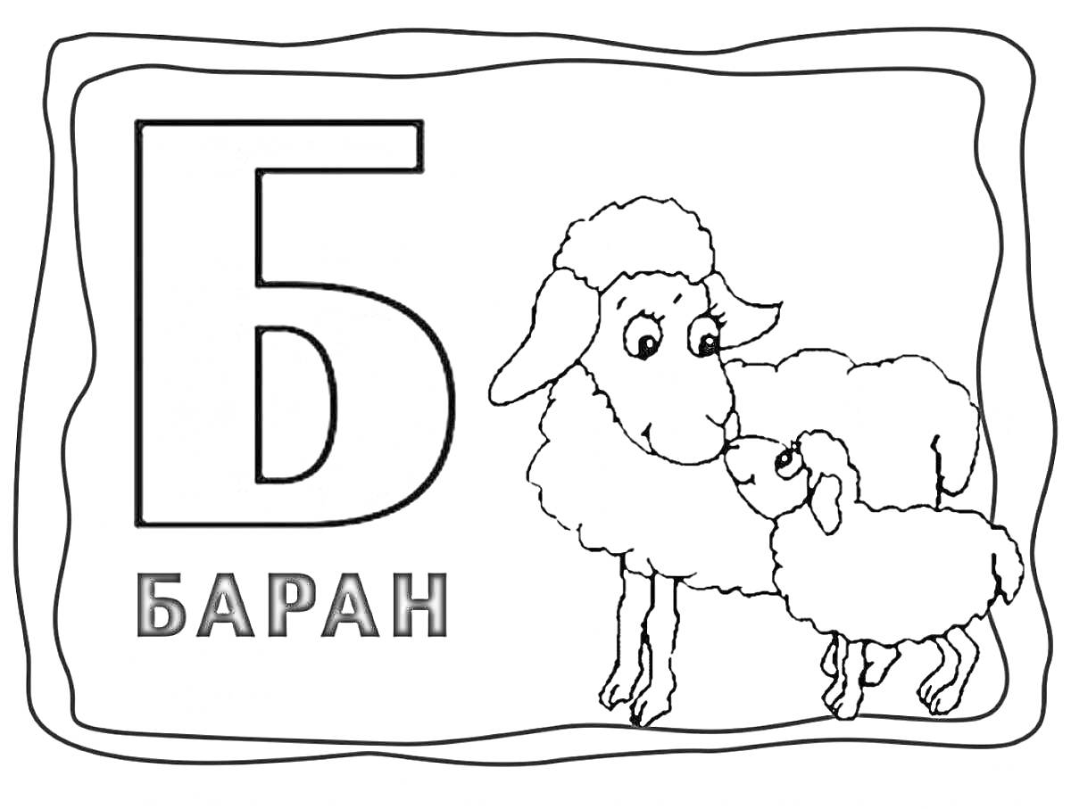 На раскраске изображено: Буква Б, Баран, Ягненок, Алфавит, Русский язык, Азбука, Для детей