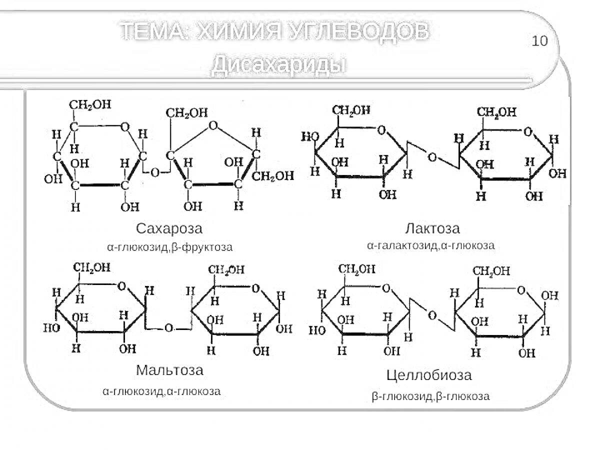 Раскраска Химия углеводов - дисахариды: сахароза, лактоза, мальтоза, целлобиоза