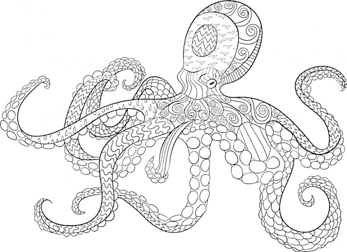 Раскраска Осьминог с узорами на щупальцах и голове