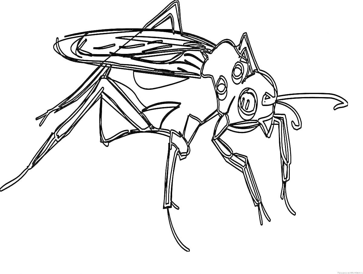 Раскраска Комар с четырьмя лапками, двумя крыльями, небольшими усиками и выразительными глазами.