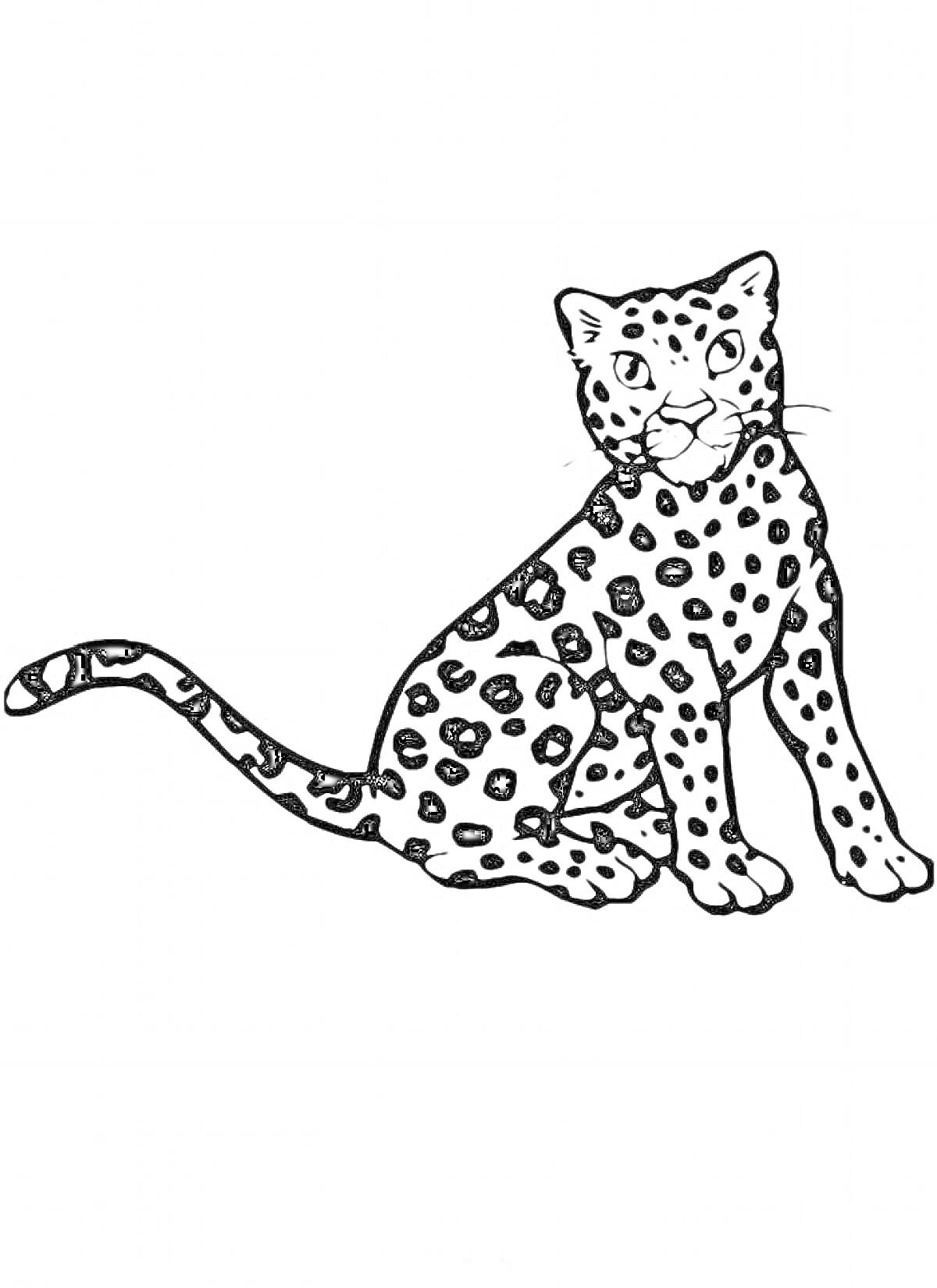 Раскраска Леопард, сидит боком, пятнистый узор