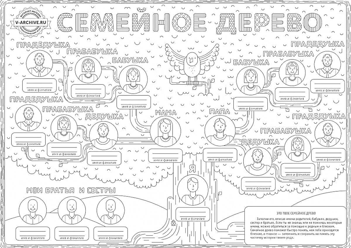 Семейное дерево. Древо семьи с изображениями пустых портретов членов семьи, расположенных по поколениям: прабабушка и прадедушка, дедушка и бабушка, мама и папа, дети и братья и сестры. В центре также нарисовано дерево с совой.