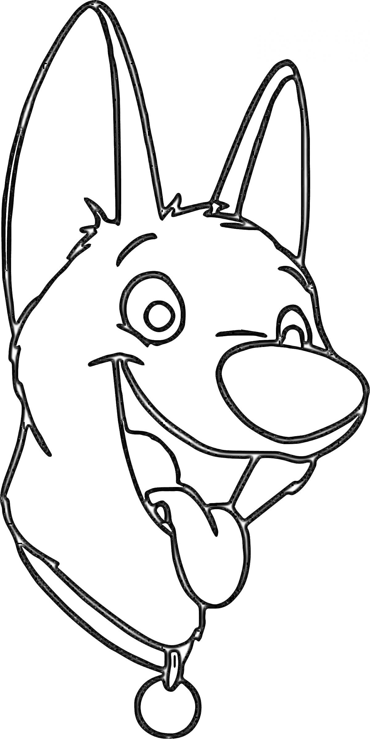 Раскраска Голова собаки с высунутым языком и ошейником с медальоном
