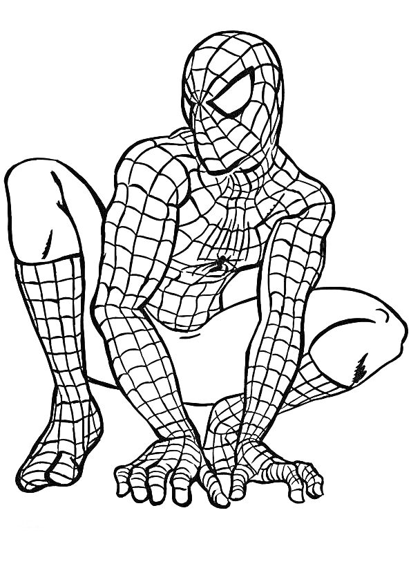 Раскраска Человек Паук в паучьей позе на корточках