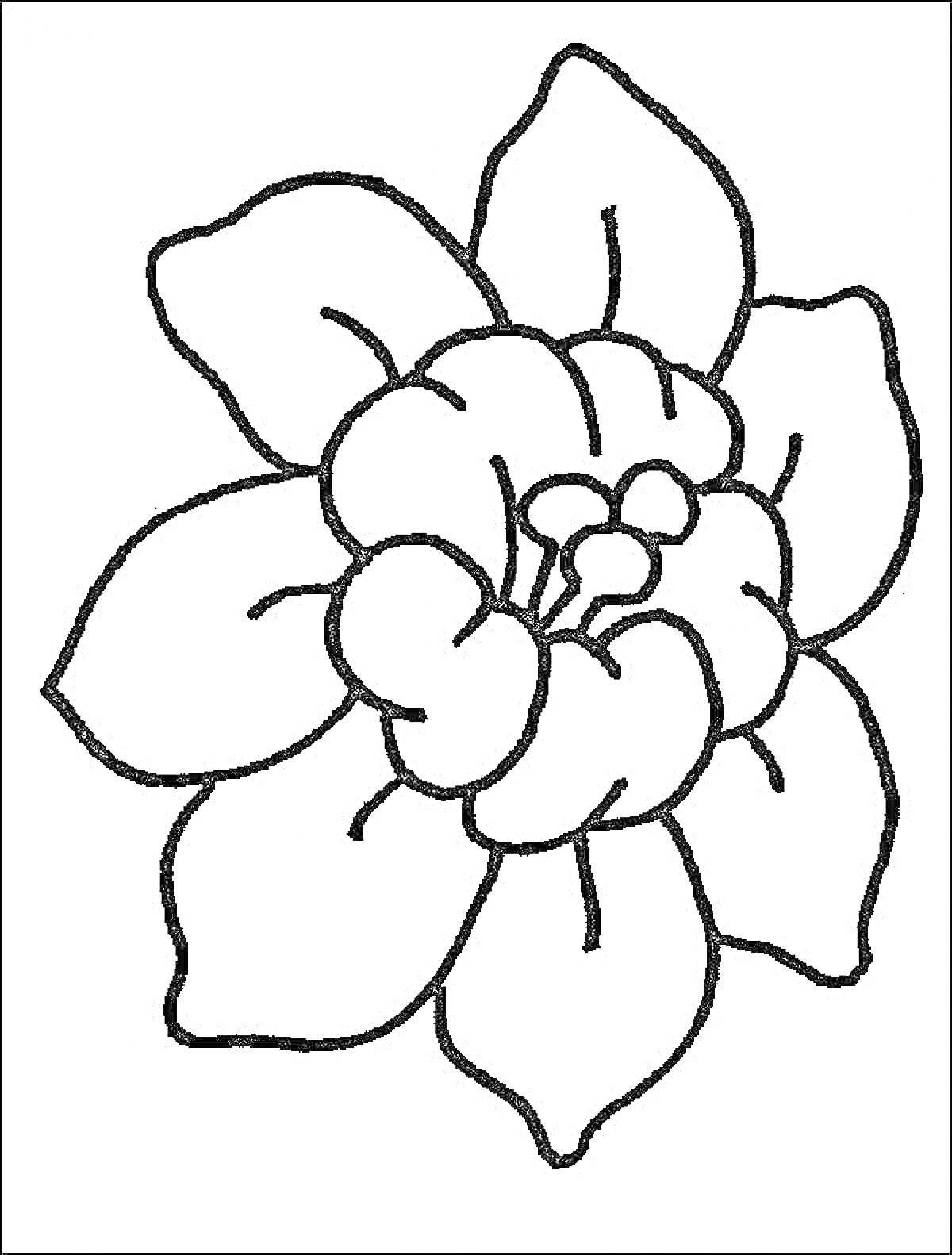Раскраска Раскраска с изображением цветка с семью лепестками и бутоном в центре