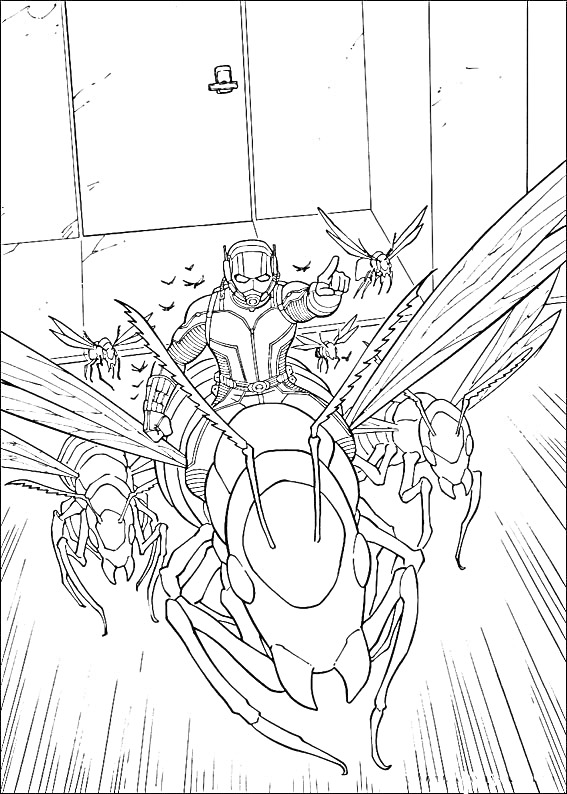 На раскраске изображено: Человек-муравей, Муравей, Полет, Насекомое, Супергерои